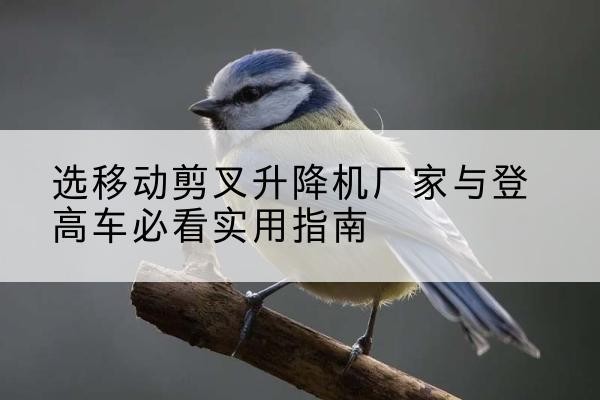 黄石港电动升降机厂家-选移动剪叉升降机厂家与登高车必看实用指南