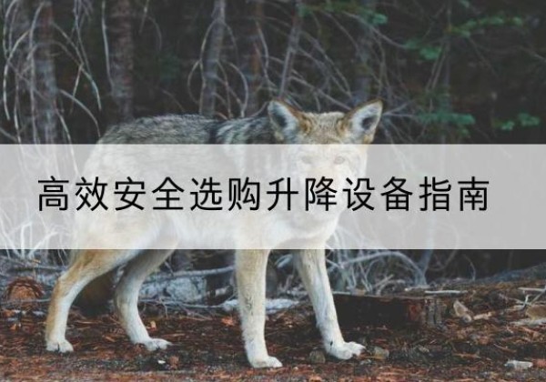 黄石港升降货梯厂家推荐-*安全选购升降设备指南