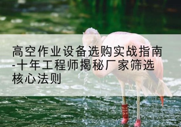 黄石港剪叉式升降机厂家-高空作业设备选购实战指南-十年工程师揭秘厂家筛选核心法则